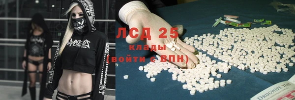 ПСИЛОЦИБИНОВЫЕ ГРИБЫ Верея