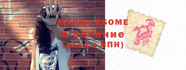 ПСИЛОЦИБИНОВЫЕ ГРИБЫ Верея