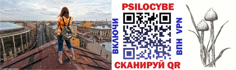 Купить  Верхняя Тура  Псилоцибиновые грибы GOLDEN TEACHER 